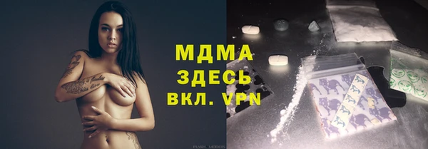 хмурый Тайга